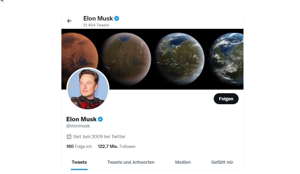 elon-musk-twitter-profil-finanzmann