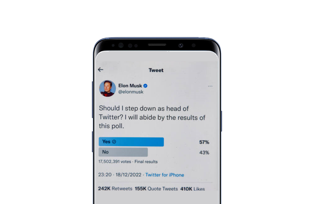 Musks Umfrage auf Twitter